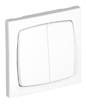 Double Two-way Switch