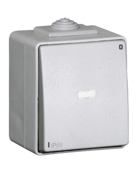 Two-pole Switch with Pilot Lamp