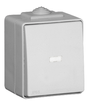 Single Pole Switch with Pilot Lamp