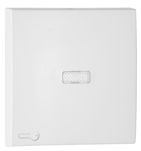 Rocker for Lighted Switches / Push-button with Lock Symbol